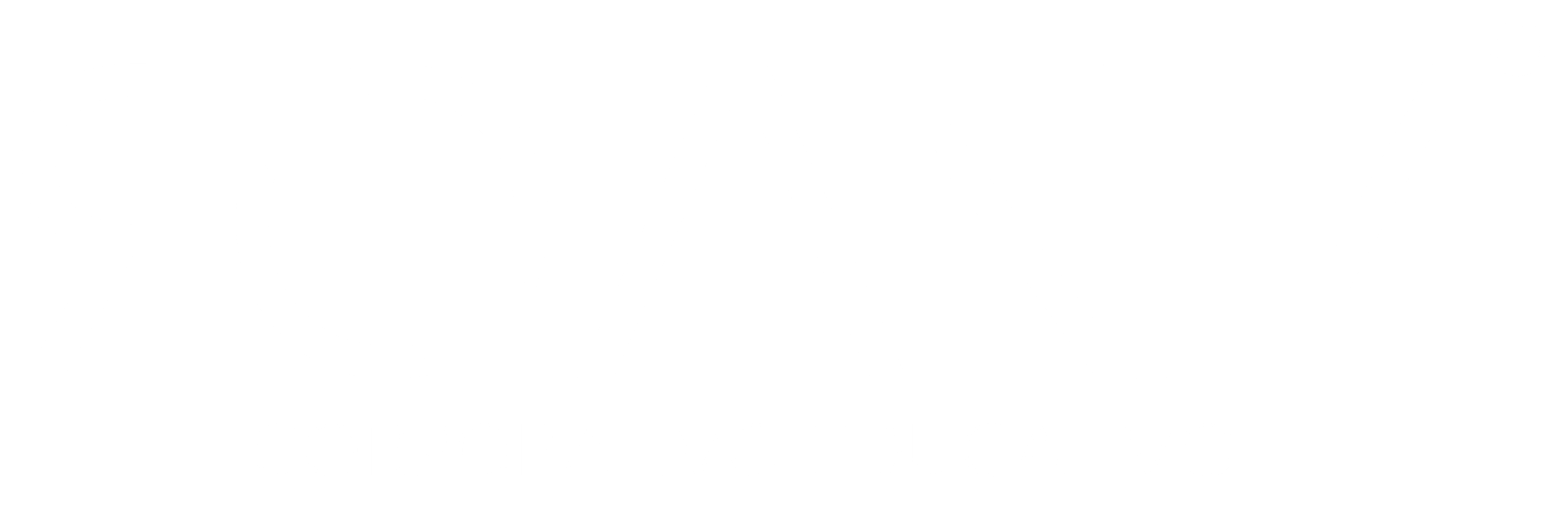 ROANM Corporativo Educativo R Blanco_Mesa de trabajo 1